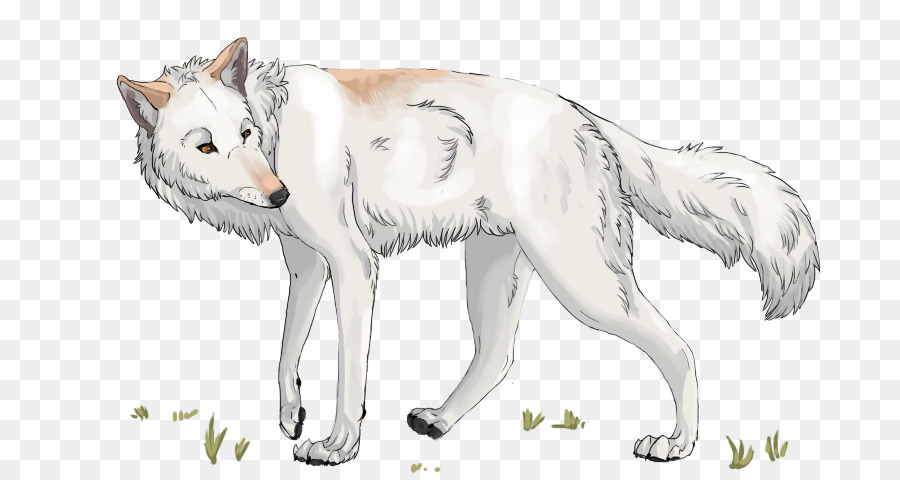 серый волк，кошка PNG