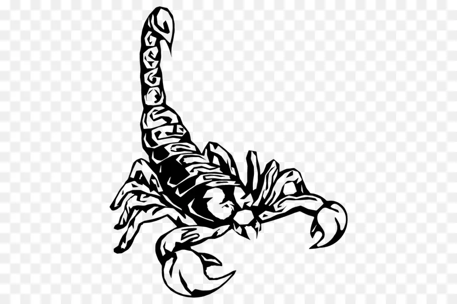 татуировки，Скорпион PNG