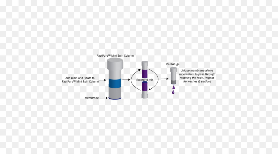 Column span. Аффинная очистка белков. FPLC (fast Protein Liquid Chromatography). Nucleic Protein Low Pressure Liquid Chromatography System. Spin columns.
