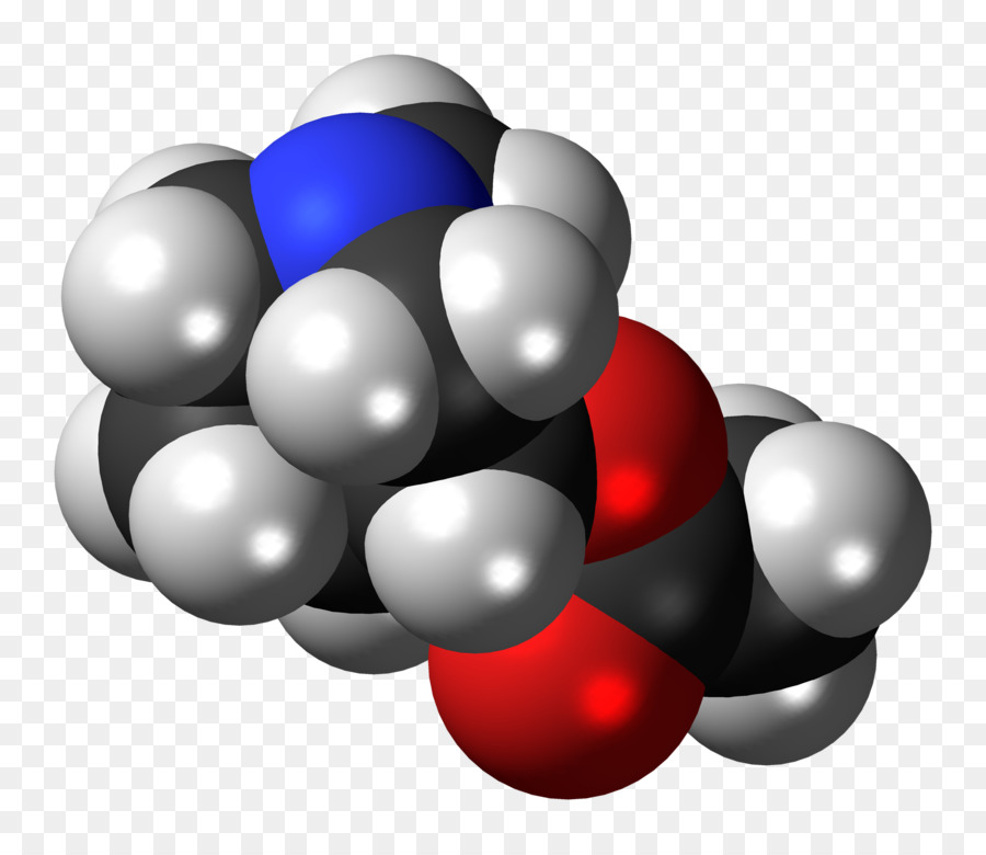 молекула，ацеклидин PNG