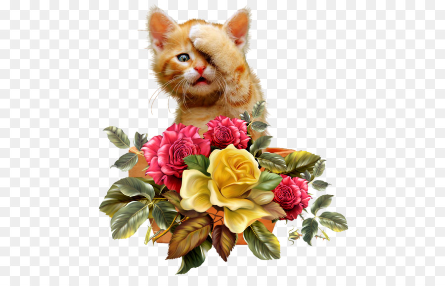 Открытка кот с цветами. Котенок с цветами. Кошка с букетом цветов. Котенок с букетом цветов. Котенок стьукетом цветов.