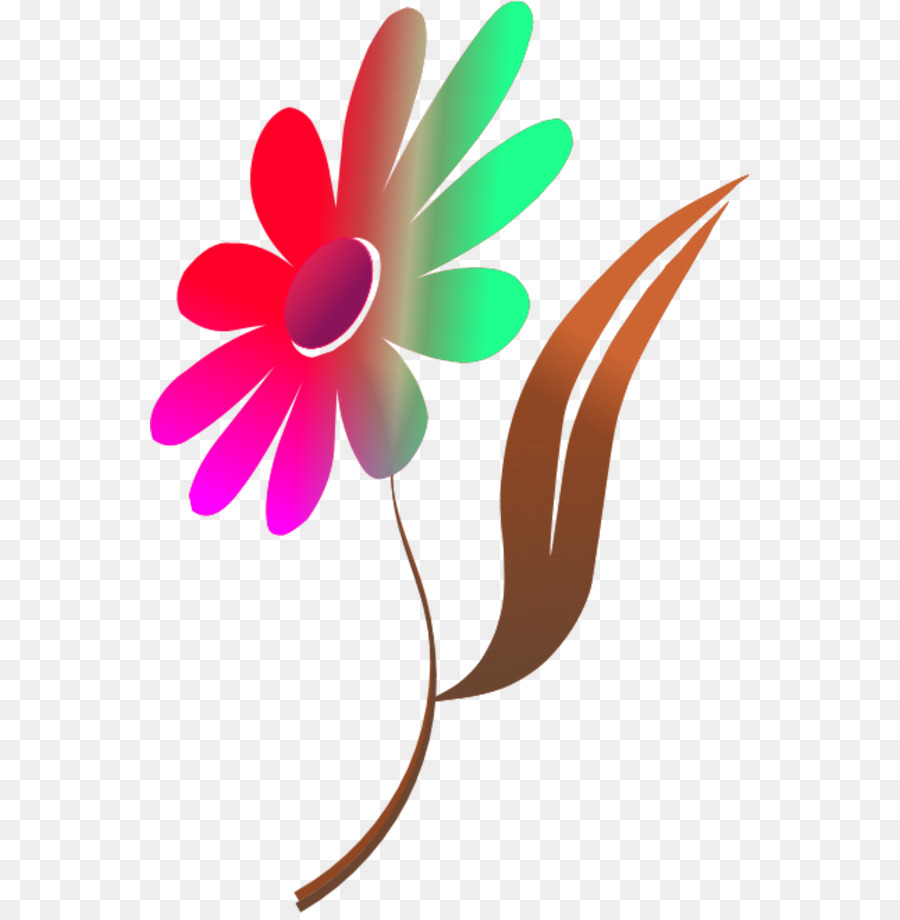 цветок，цвет PNG