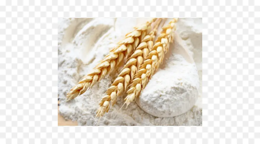 атта муки，мягкой пшеницы PNG