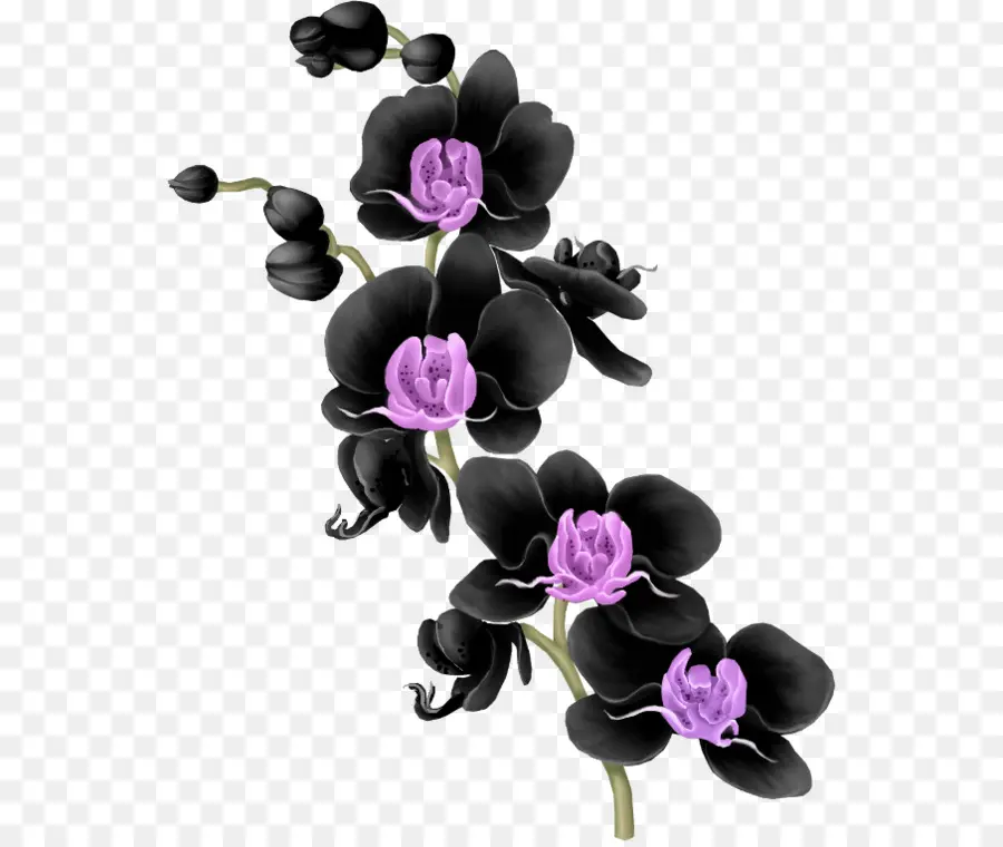 мотылек орхидеи，цветочный дизайн PNG