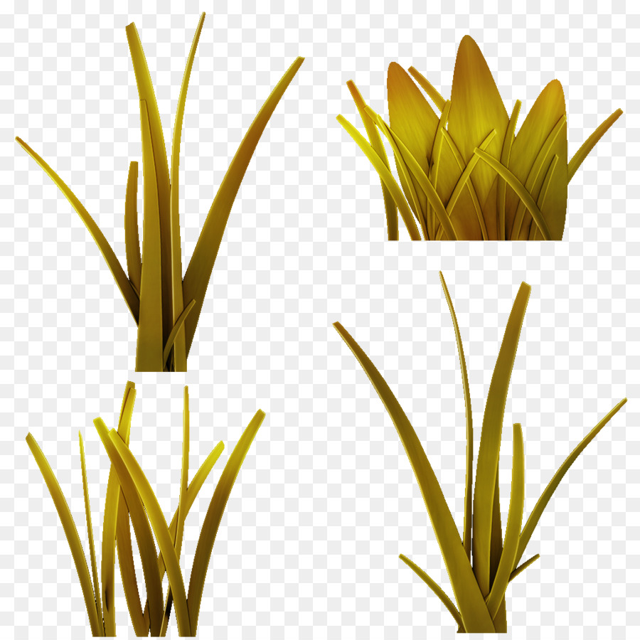 травы，стебель растения PNG