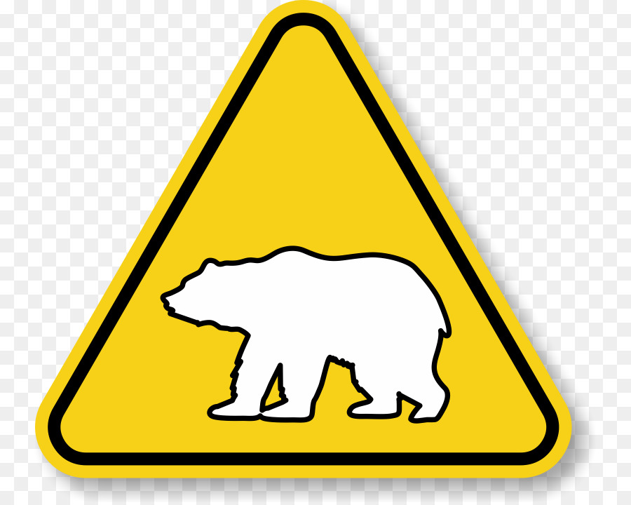 медведь，белый медведь PNG