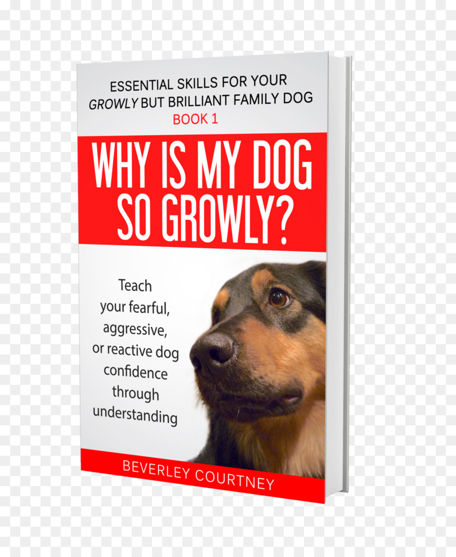 Book my dog. Книга как приучить собаку. Мастер собак книга. Кошки и собаки реклама. Why is my Dog so aggressive.