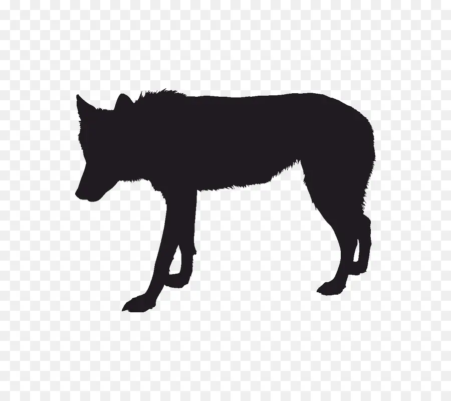 серый волк，силуэт PNG