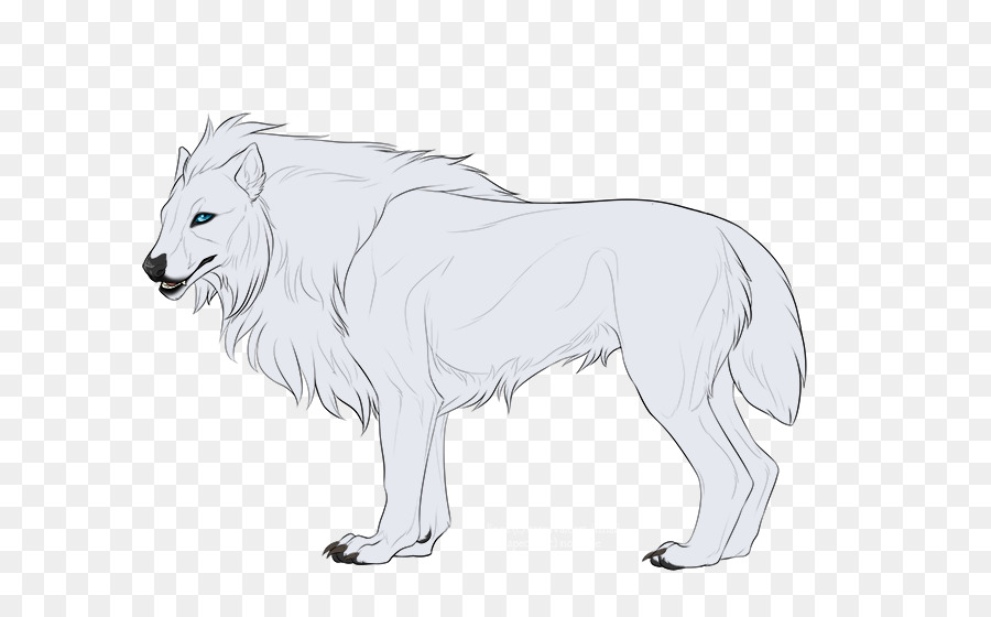 Лев，серый волк PNG