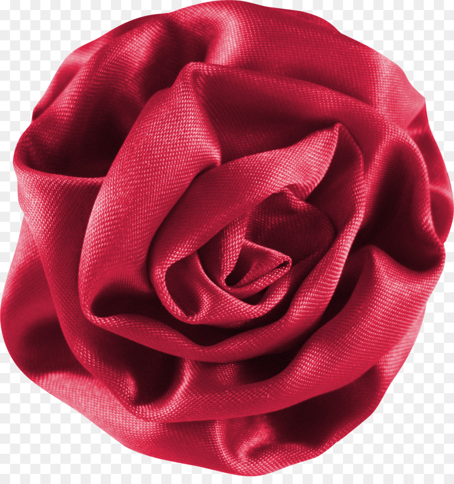 сад роз，фотография PNG