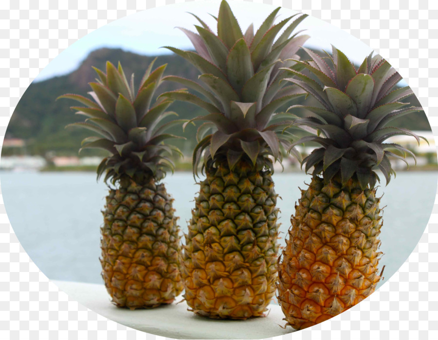 Pineapple，старый PNG