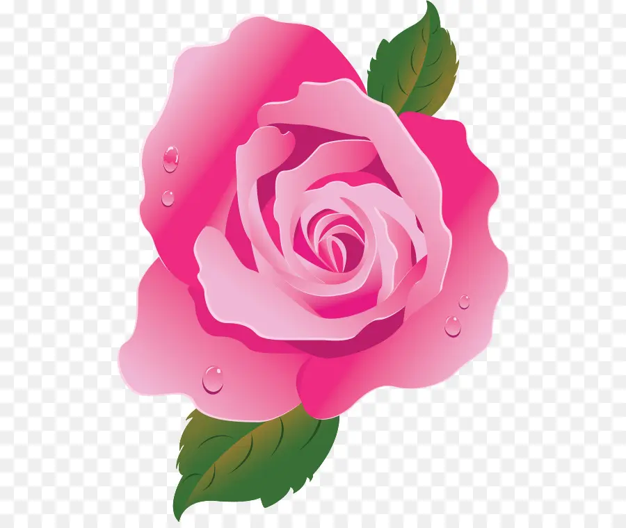 сад роз，розовый PNG