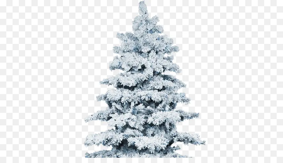 снег，Рождественская елка PNG