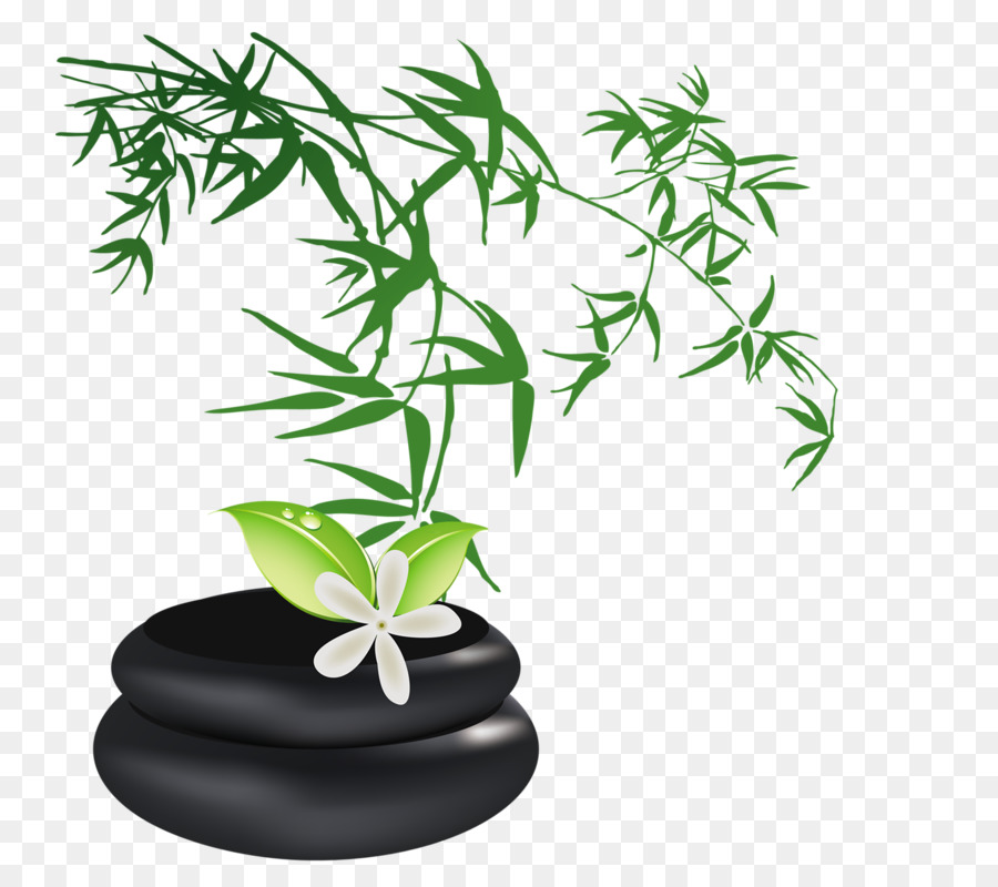 рисунок，Bamboo PNG