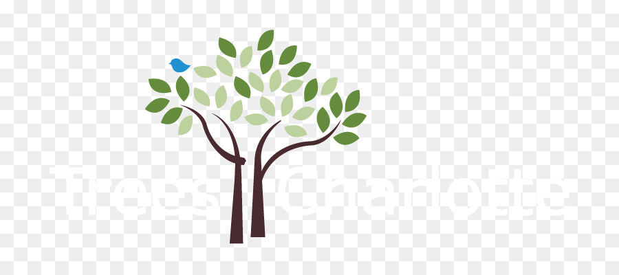 дерево，организация PNG
