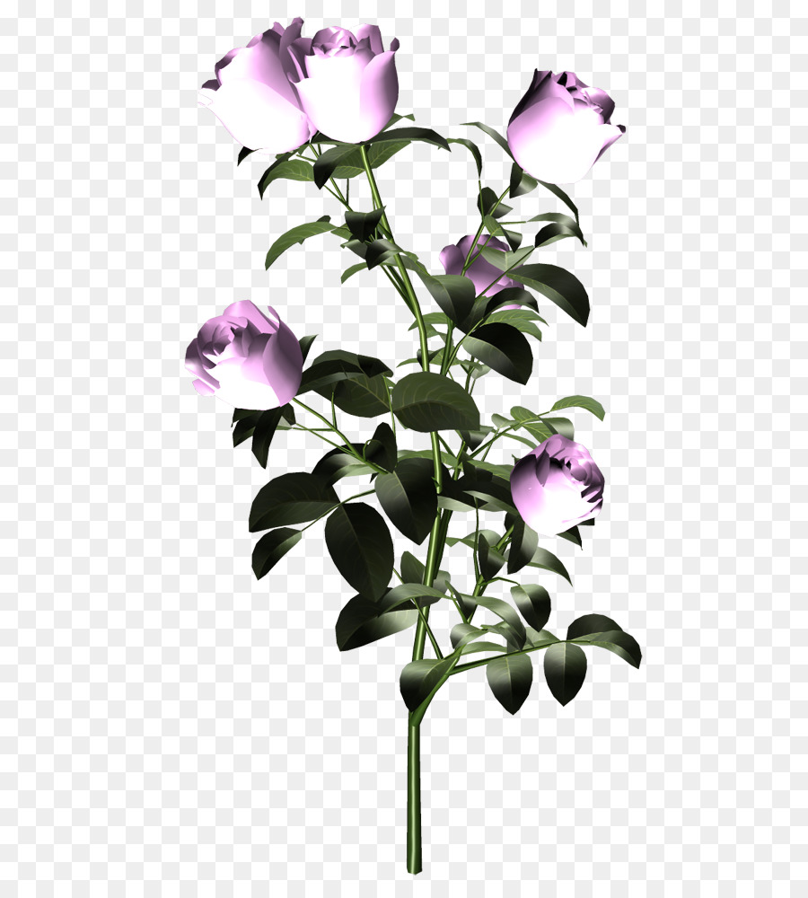 цветок，срезанные цветы PNG