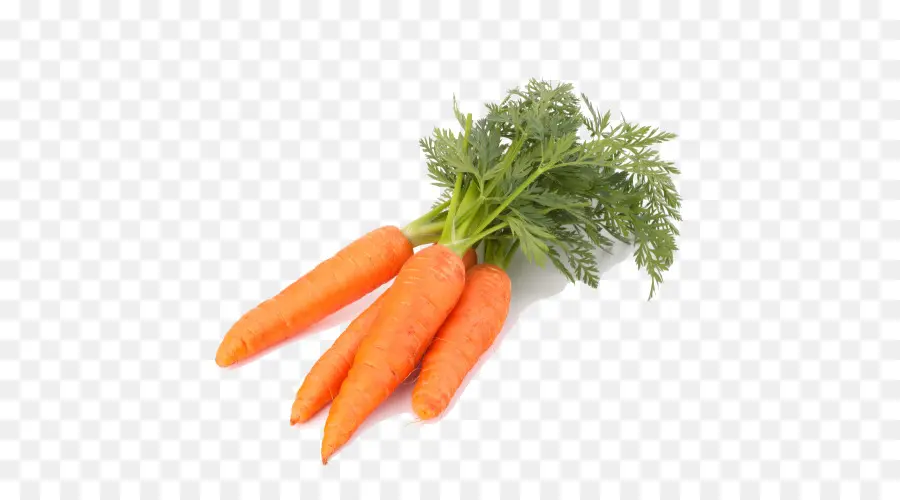 морковный，капустный салат PNG