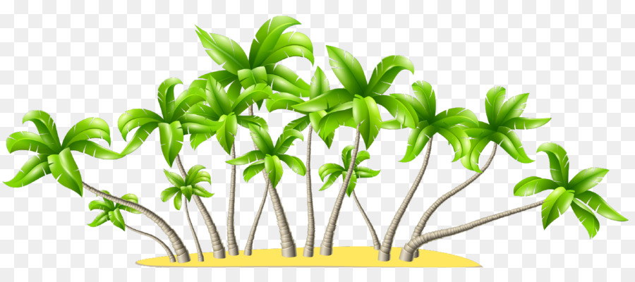 Arecaceae，компьютерные иконки PNG