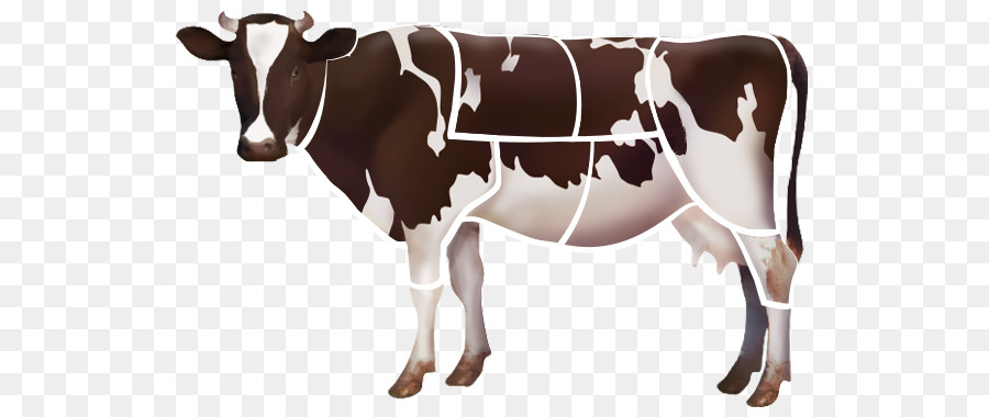 голштино фризской породы крупного рогатого скота，молочный скот PNG