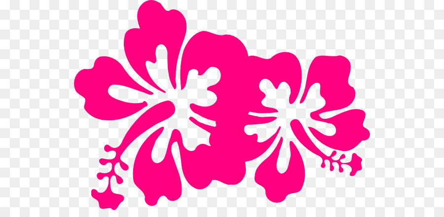 гибискус，розовые цветы PNG
