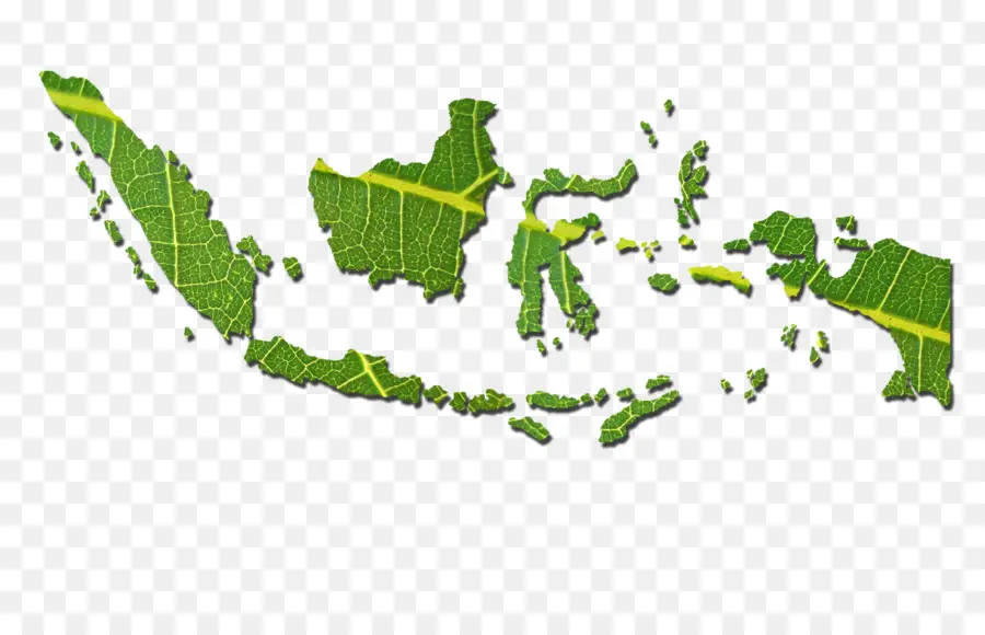 Бали，мир PNG