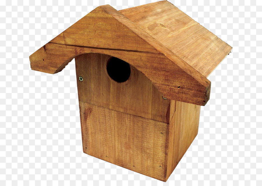 гнездо коробка，птица PNG
