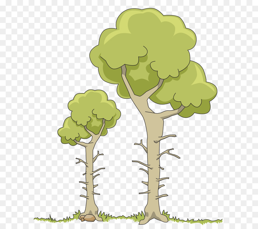 дерево，филиал PNG