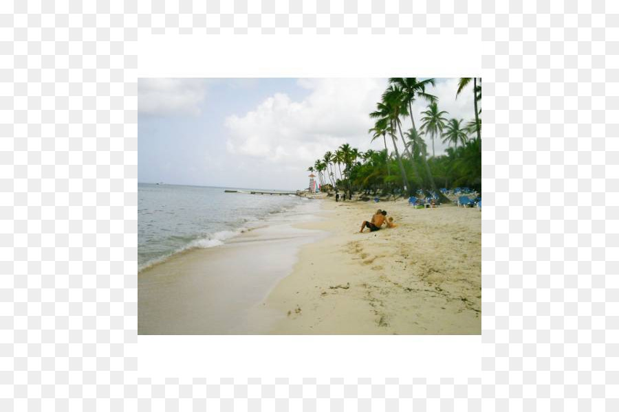 пляж，Карибского бассейна PNG