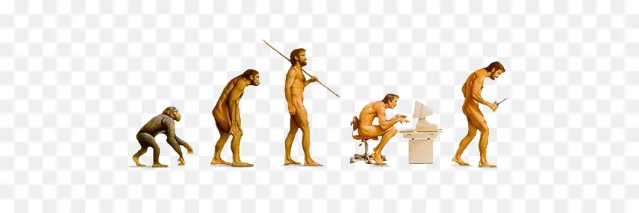 эволюция，интернет PNG