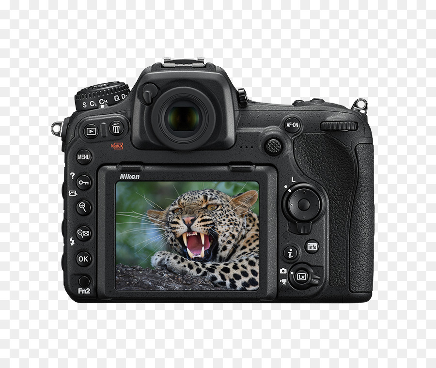 Фотоаппарат nikon dx. Фотоаппарат Nikon d500 body. Камера Nikon DX. Nikon d500.