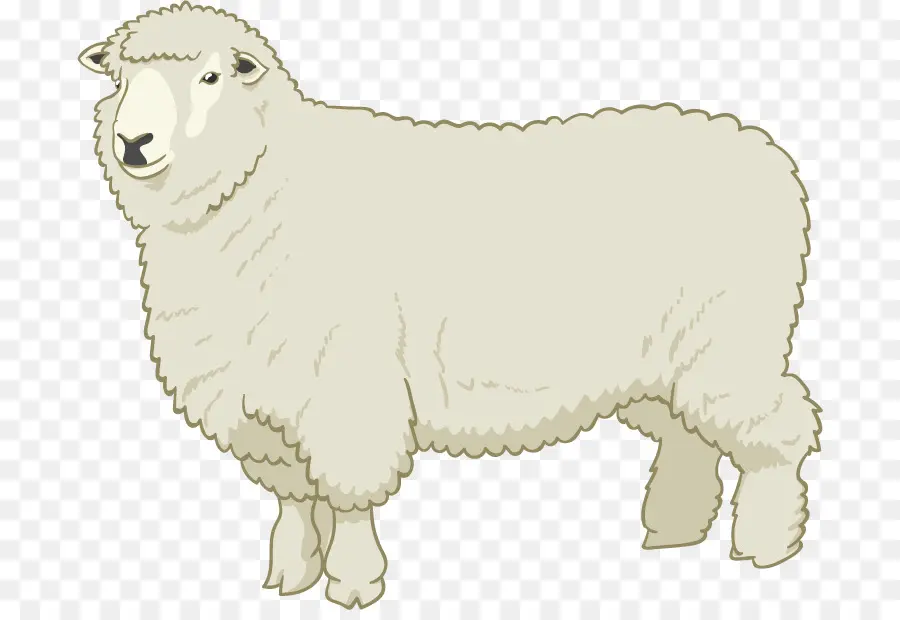 овцы，рисунок PNG