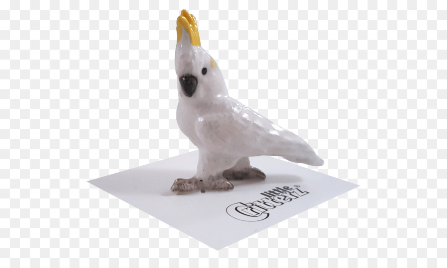 какаду，птица PNG