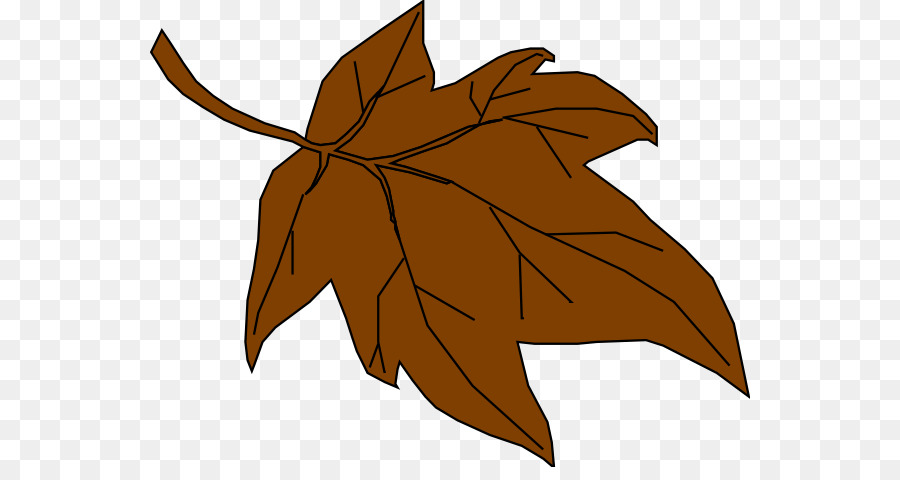 осенняя окраска листьев，лист PNG