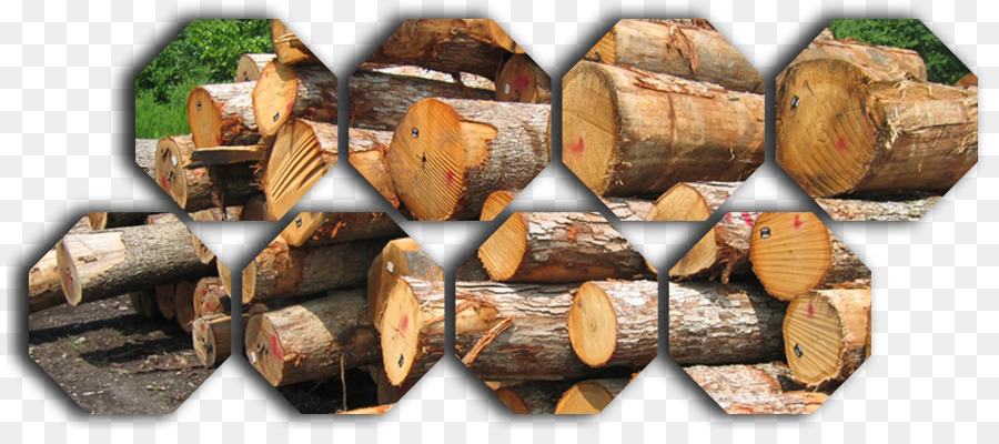 древесины，оптовая PNG