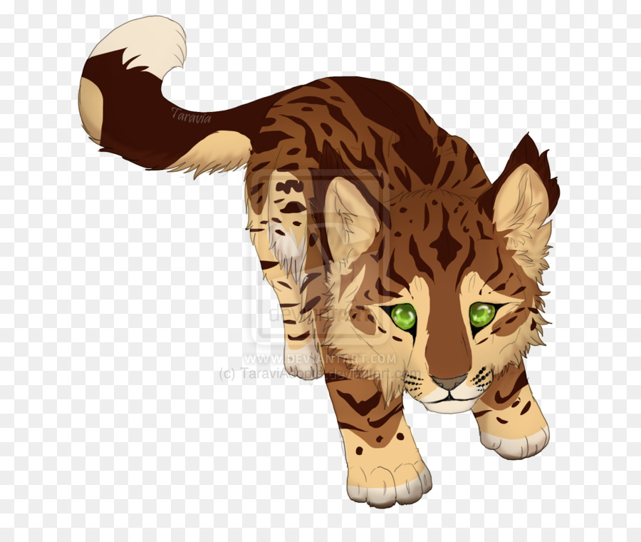 тигр，кошка PNG
