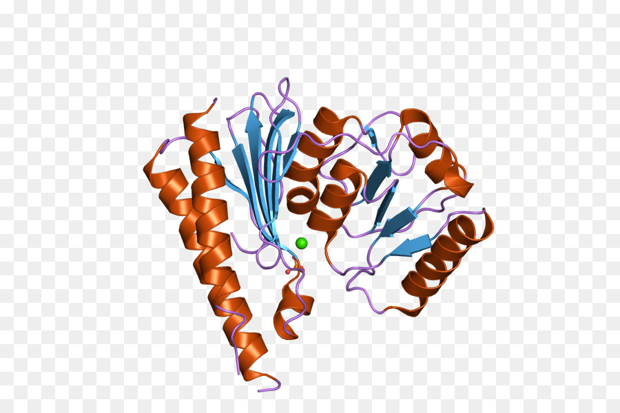 инозитол Monophosphatase 2，инозитол Monophosphatase PNG