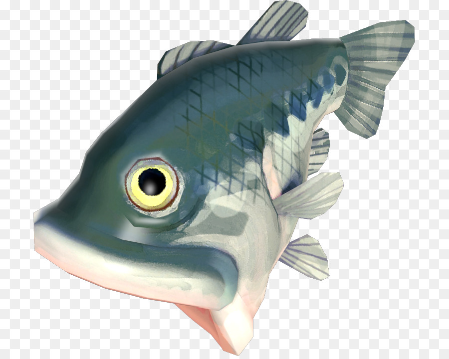 костистых рыб，жирная рыба PNG