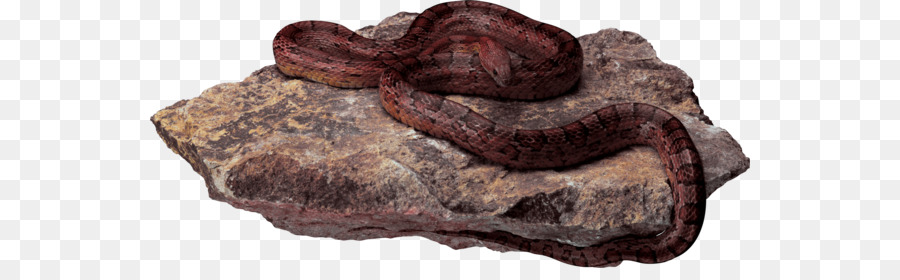 Snake，инкапсулированный Postscript PNG