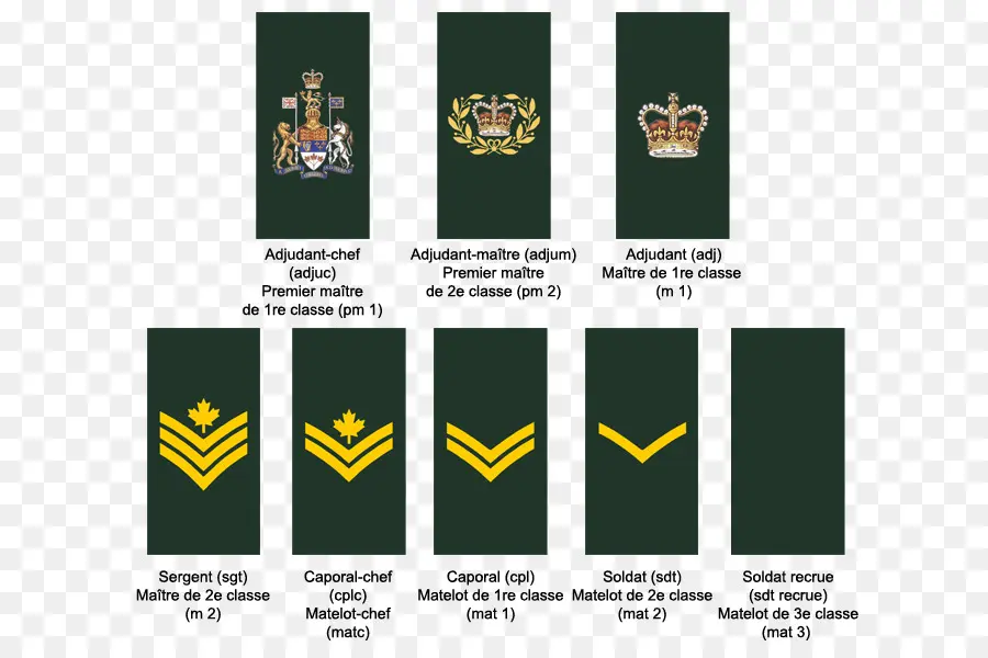 воинское звание，королевские ВВС Канады PNG