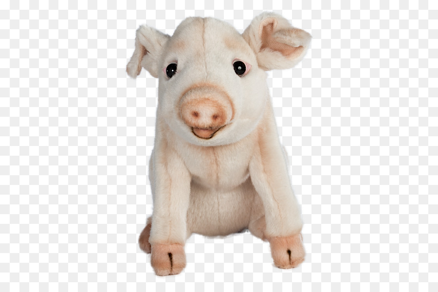 домашняя свинья，чучела животных мягкие игрушки PNG