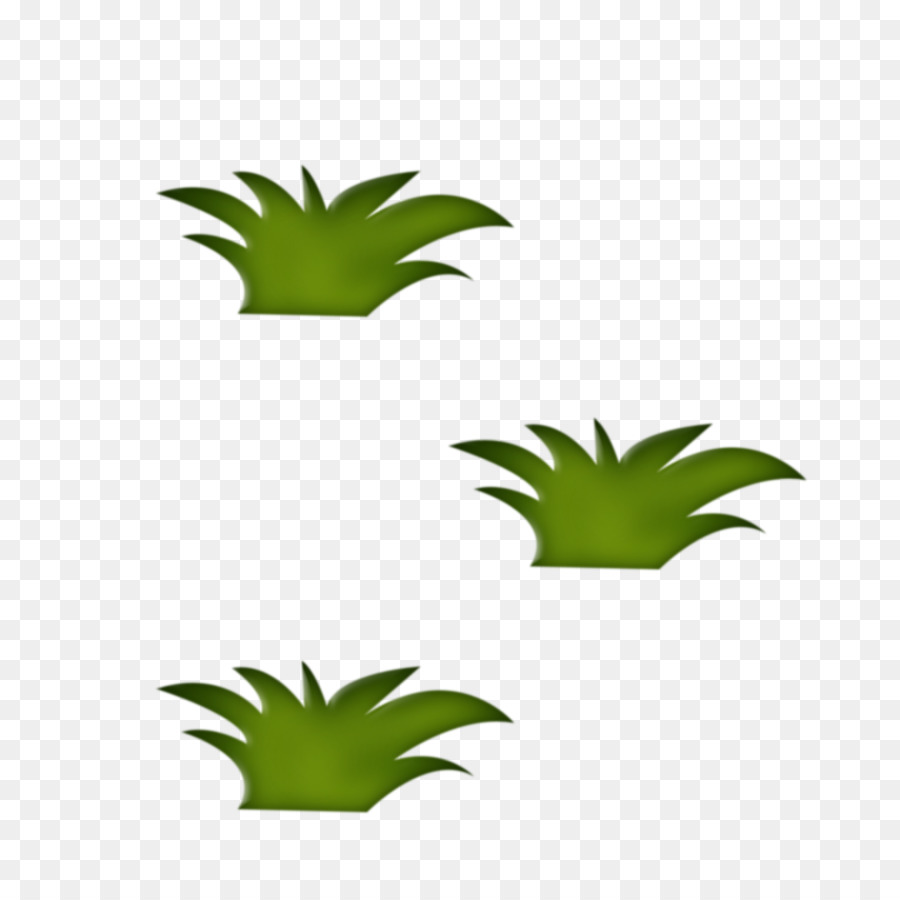 травянистое растение，стебель растения PNG