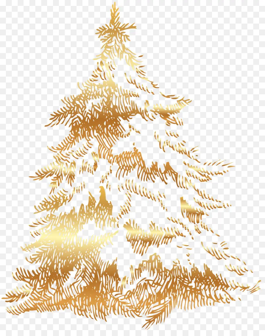 Рождественская елка，ели PNG