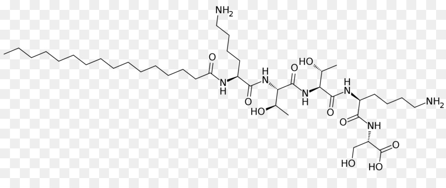 пальмитоил Pentapeptide4，черный и белый PNG