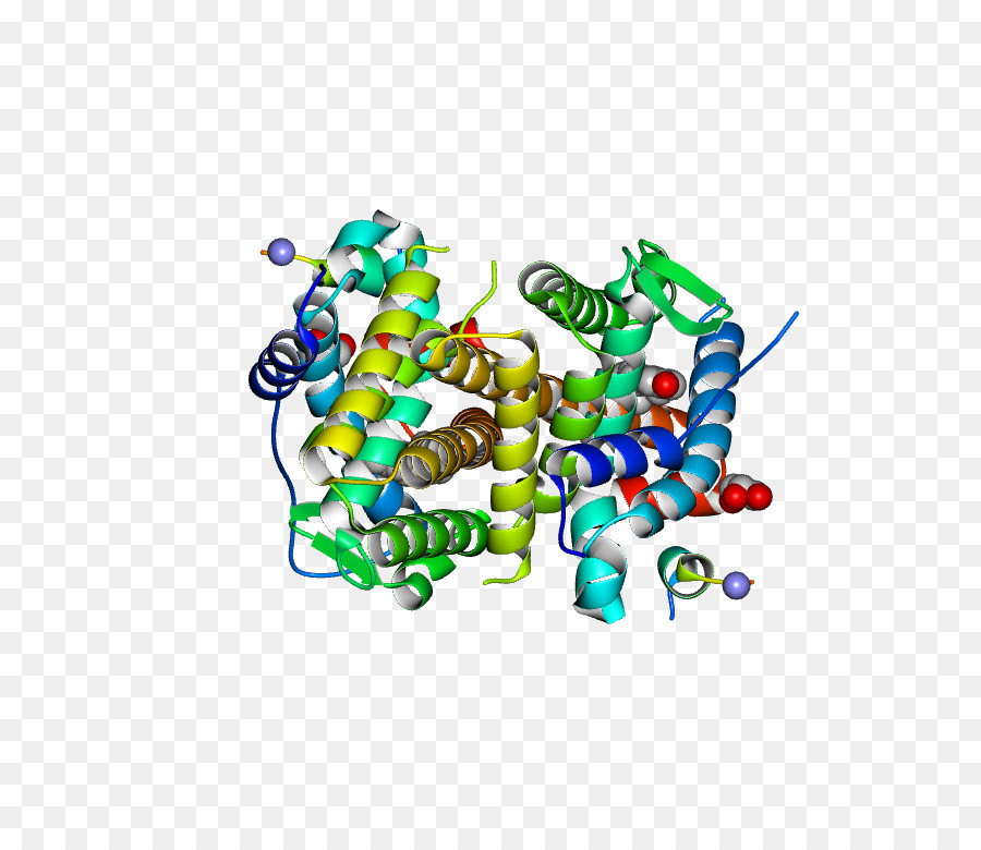 Структура белка，Молекула PNG