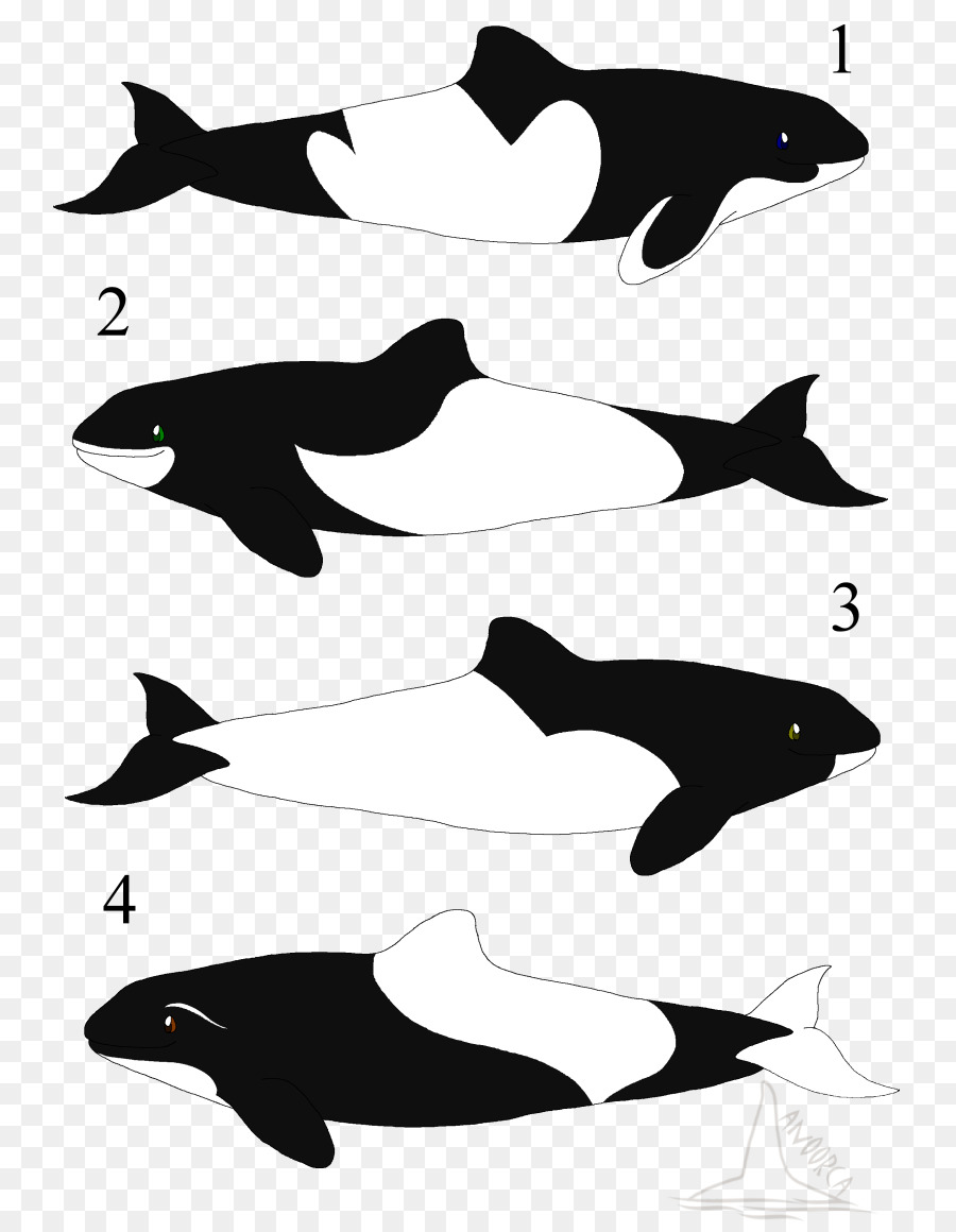 Tucuxi Дельфин