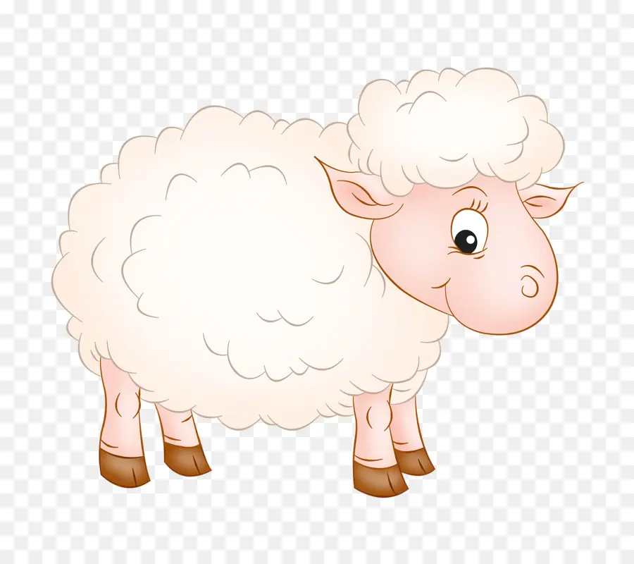 овцы，коза PNG