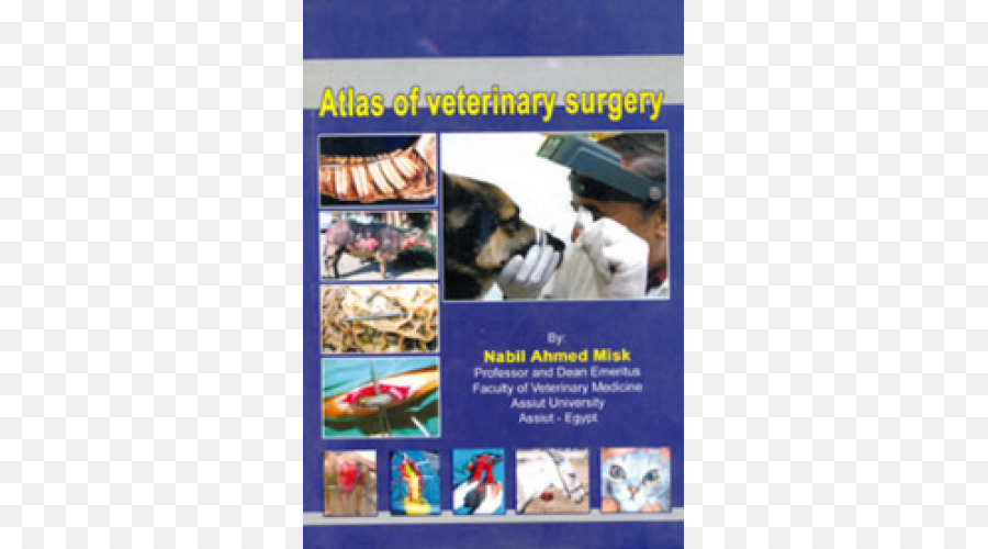 хирургия，ветеринарная хирургия PNG