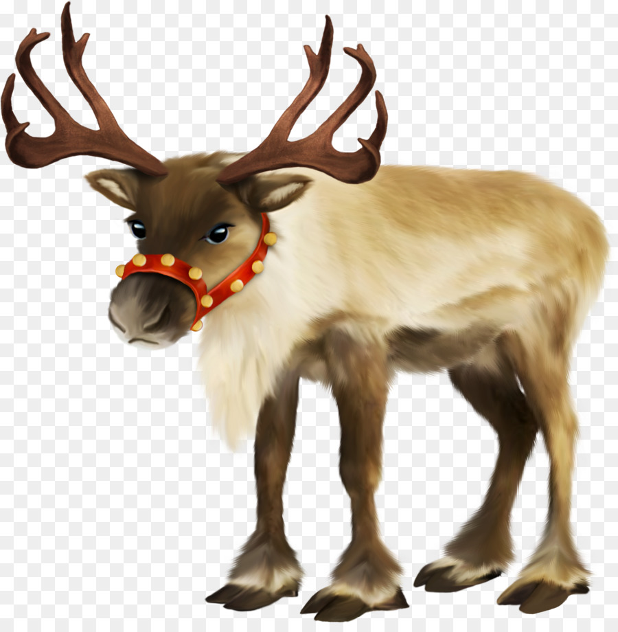 Санта Клаус，Reindeer PNG