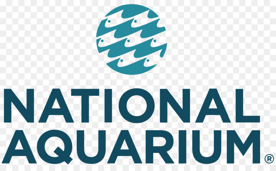 национальный аквариум，национальная академия здоровья PNG