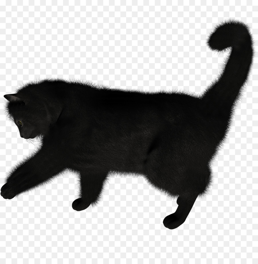 Черная кошка，кошачий PNG